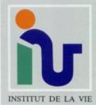 logo iv